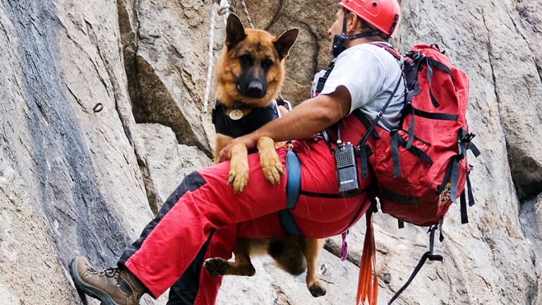 Зачестяват тежките инциденти в планините, съобщиха от БЧК. От началото