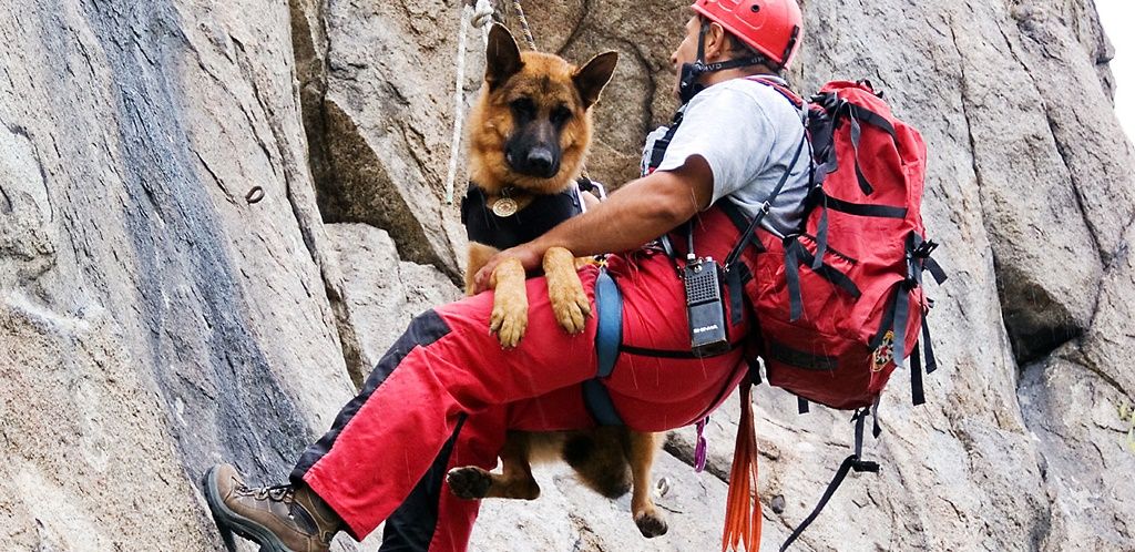 Закупуване на пожаробезопасна екипировка за студенти доброволци и специални ремаркета за превоз на кучетата от Планинската спасителна служба са част от проектите