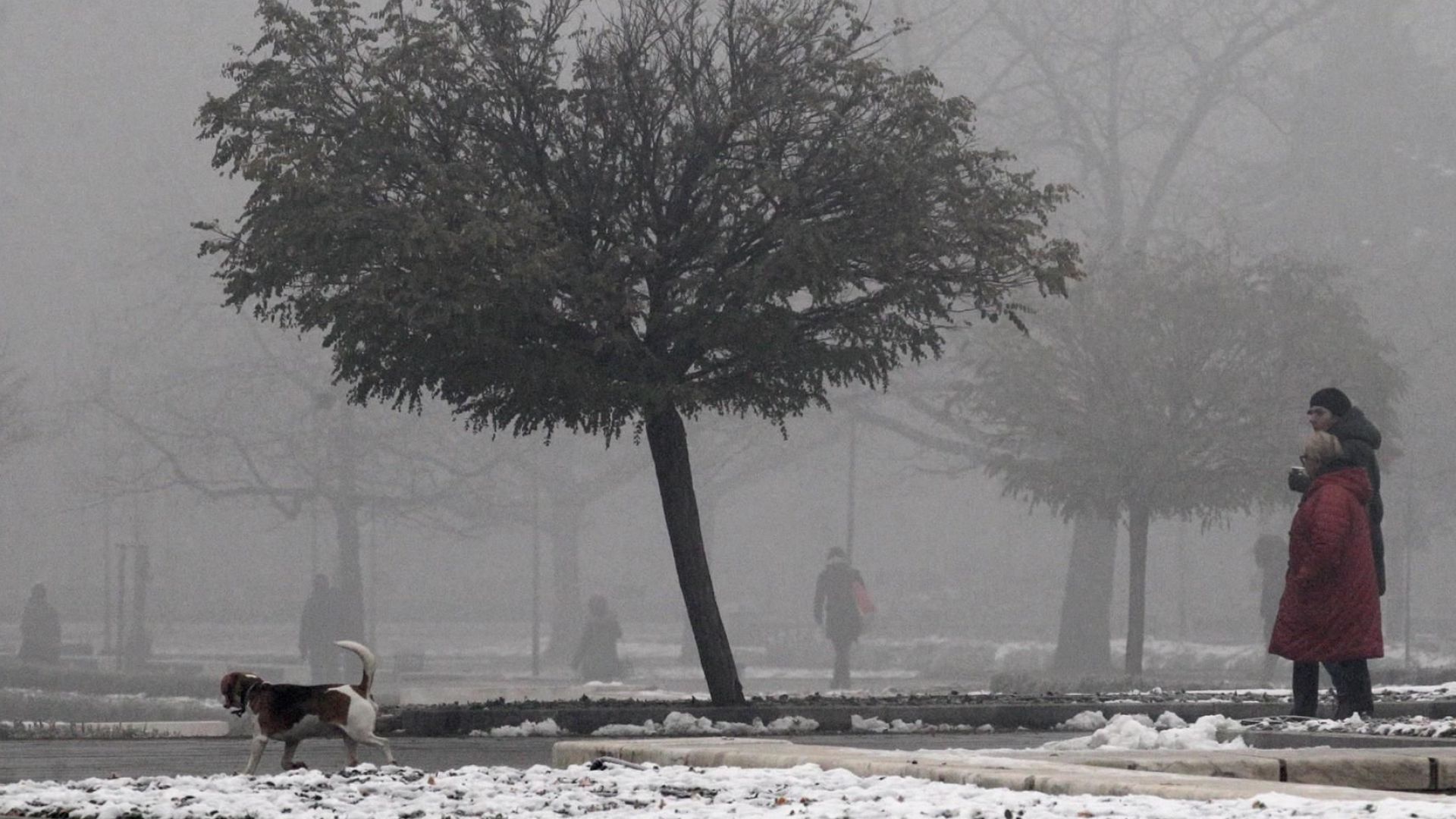 Общината: Три пъти над нормата фини прахови частици в София, не се топлете на дърва и въглища
