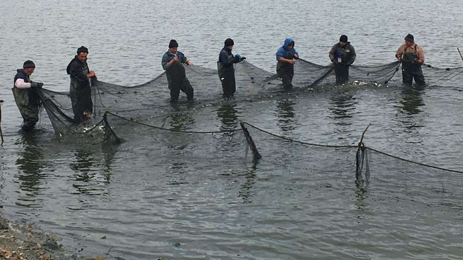 България губи 7 милиона евро по Програмата за морско дело