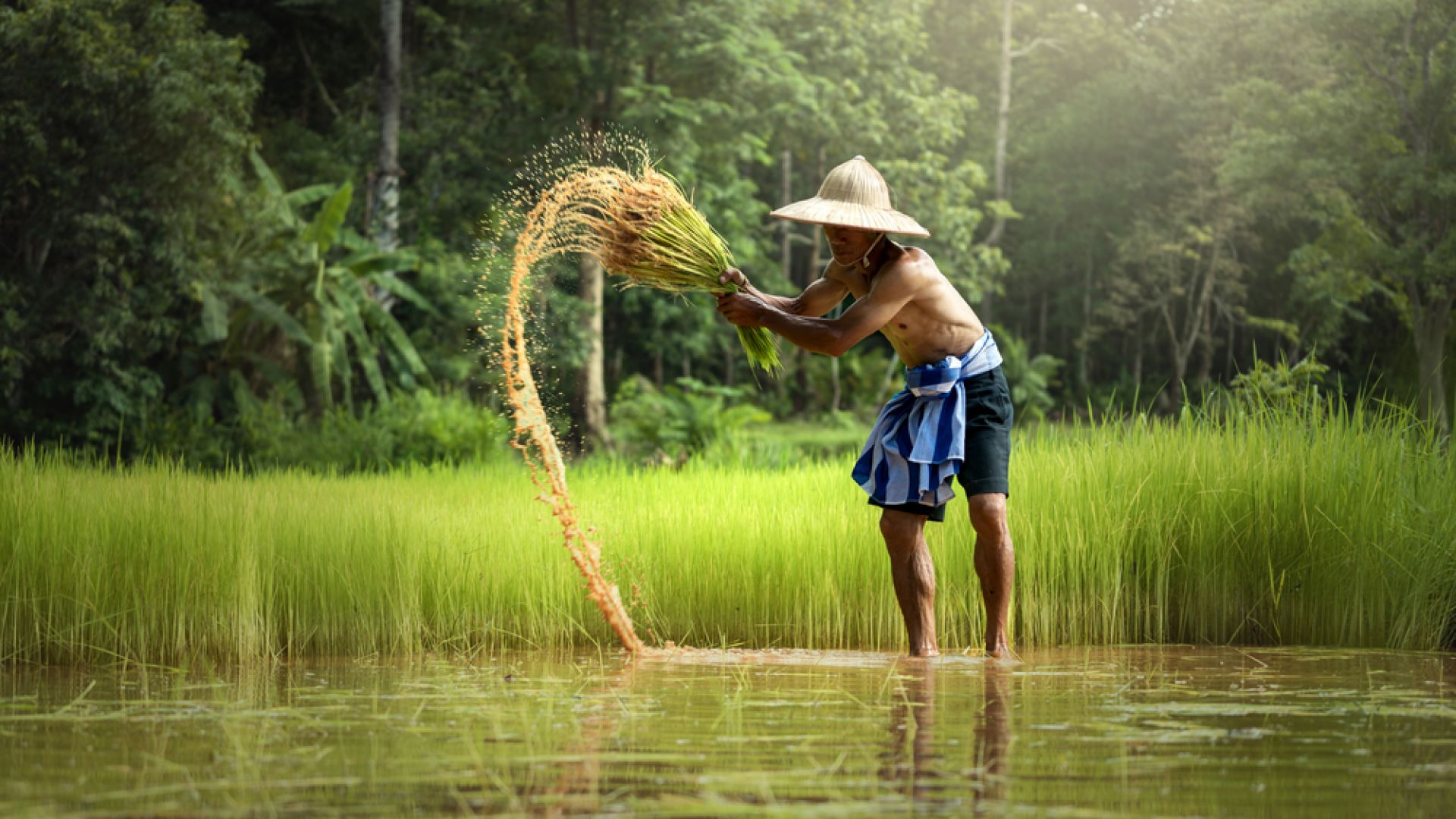 Областният управител на Софийска област Илиан Тодоров се срещна с