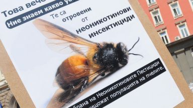 Пчеларите излизат на протест