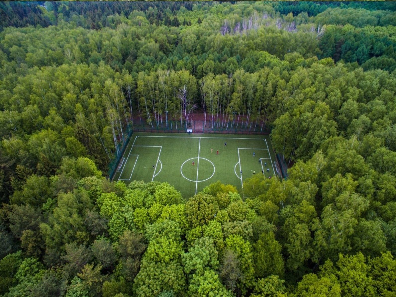 Не, това не е тропическа джунгла, а стадионът в Национален пар "Мешчерский" в Русия.