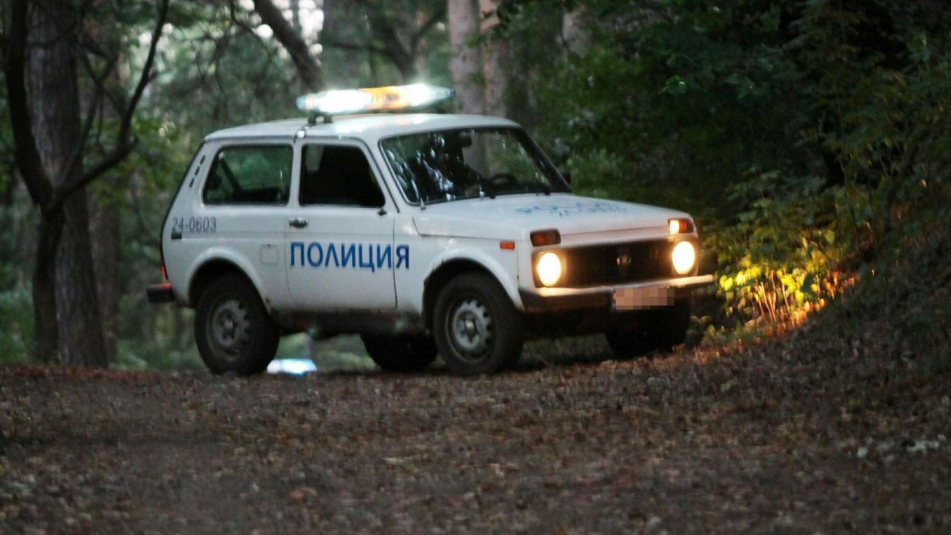 Пребиха горски стражар в Русенско, двама са в ареста
