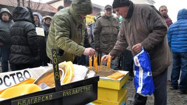 Пчелари излязоха на протест с ковчег пред Министерството на земеделието