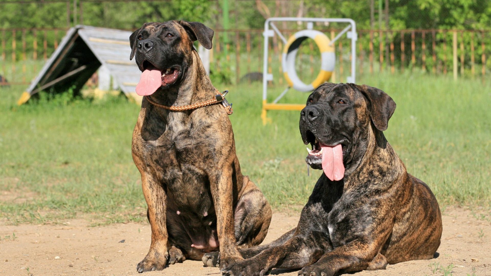 Съдът във Велико Търново одобри споразумение между прокуратурата и мъж