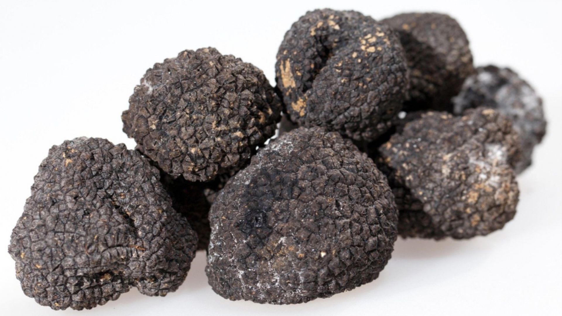 Трюфелите има опасност да изчезнат За това предупреждават британски учени