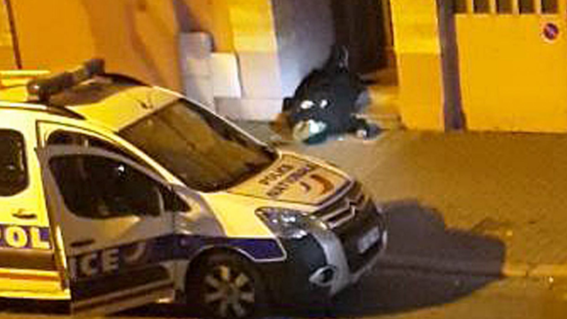 Радикалната групировка Ислямска държава заяви в сайта си Амак че