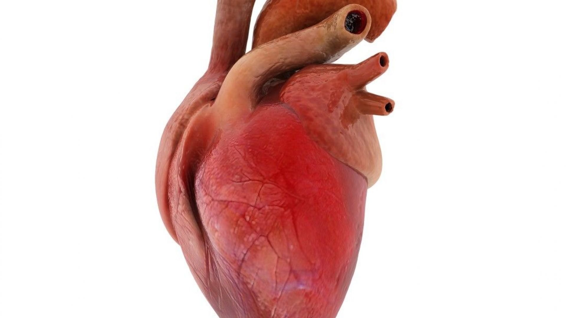 Пътнически самолет беше принуден да се върне обратно след като