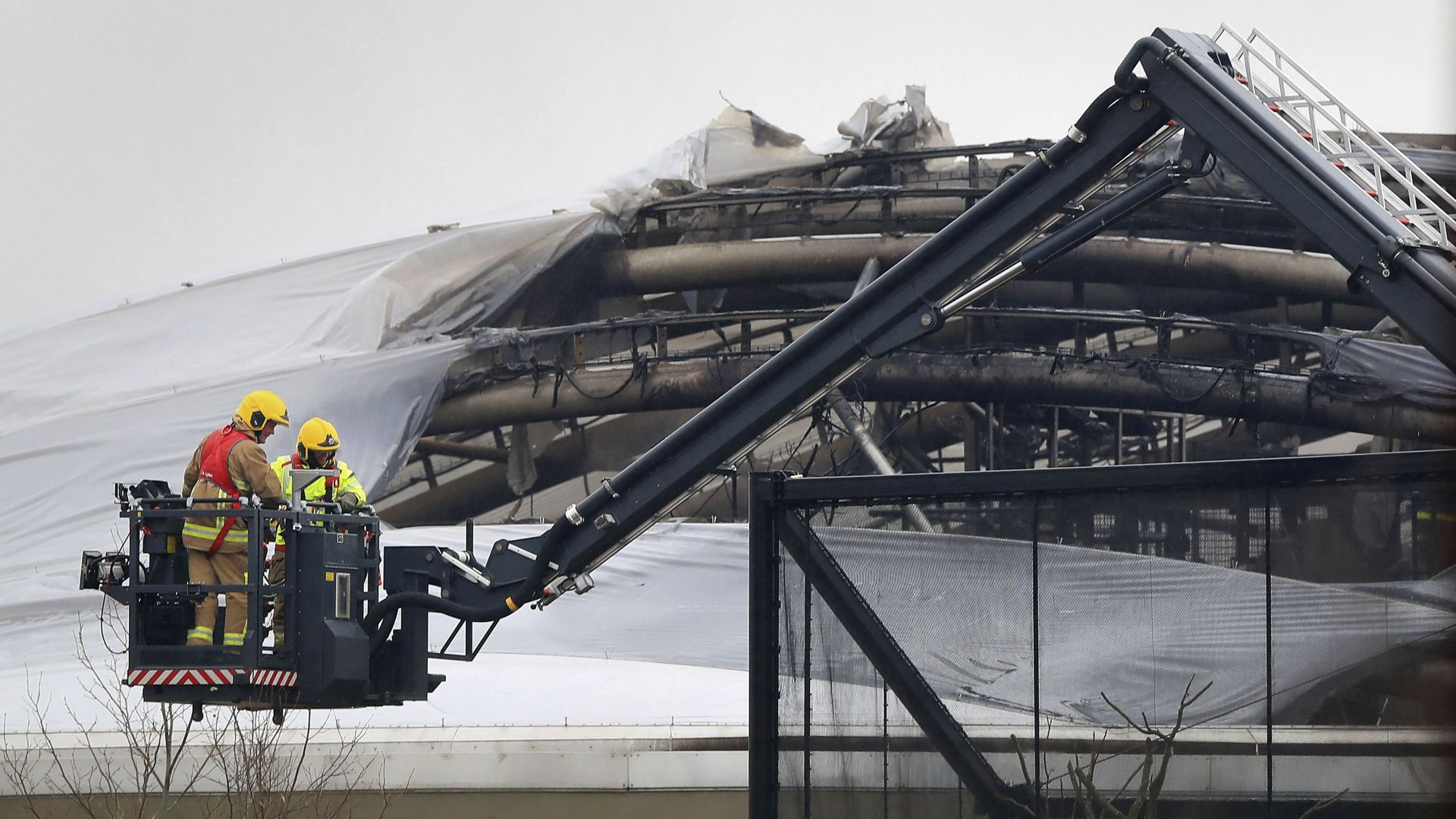 Един от най популярните британски зоопаркове беше евакуиран днес заради разразил