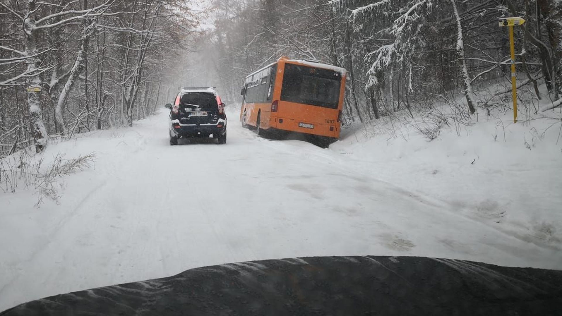 Снегът блокира два автобуса с деца на Витоша