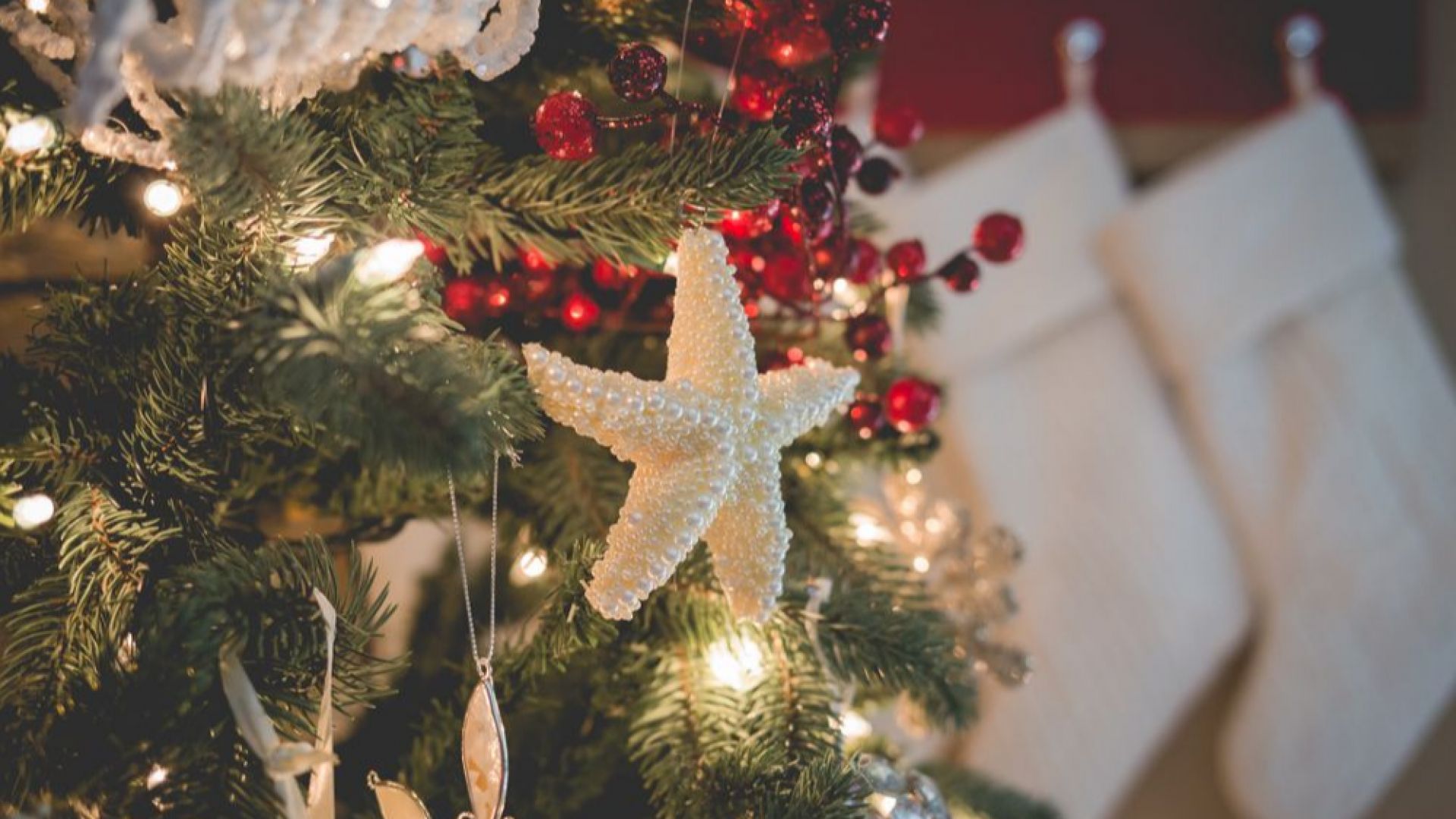 Съвети за безопасна Коледа: Памукът и хартиените украси са леснозапалими