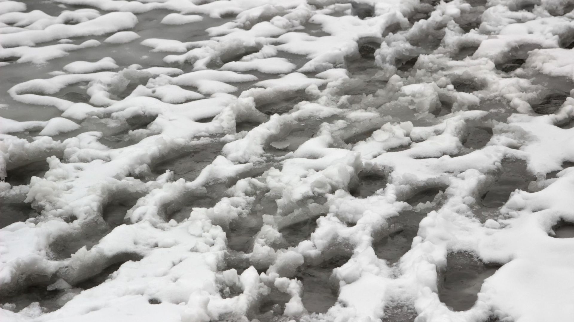 Сибирски кмет се извини за боядисан в бяло сняг