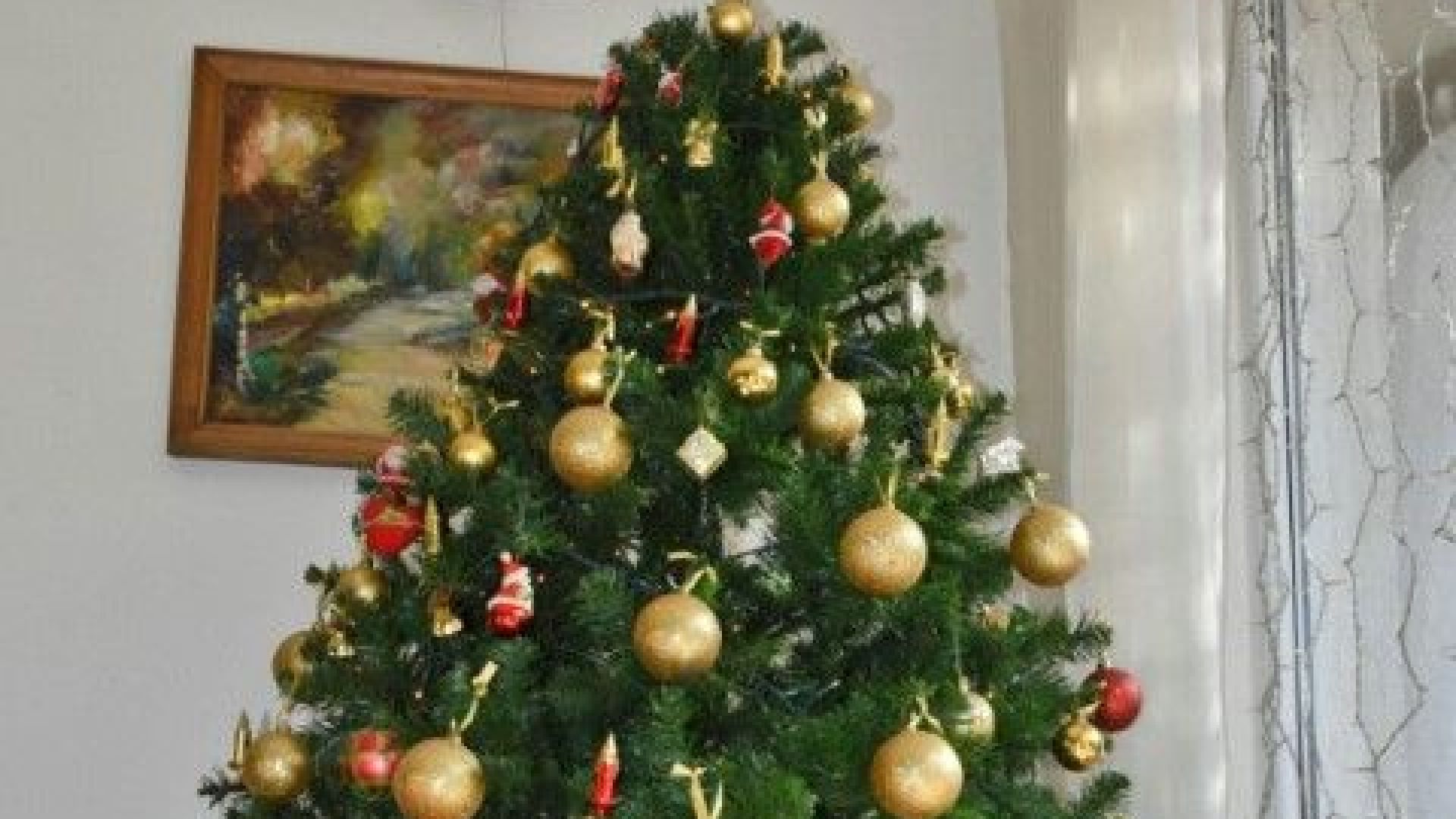 Премиерът Бойко Борисов и президентът Румен Радев честитиха Коледа във