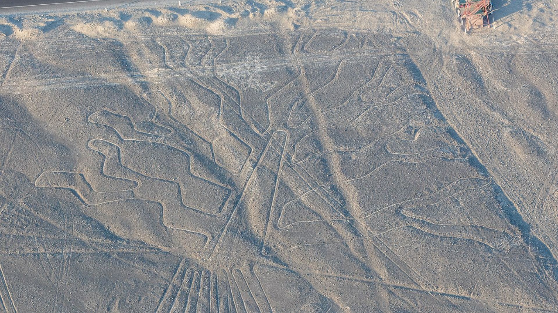 Откриха над 100 нови рисунки на платото Наска в Перу