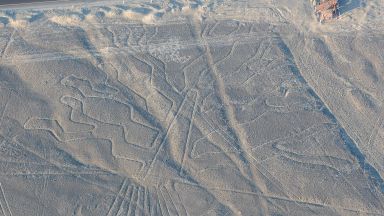 Откриха над 100 нови рисунки на платото Наска в Перу