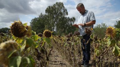 Франция си издейства 1 млрд. евро дотации от ЕС заради сушата