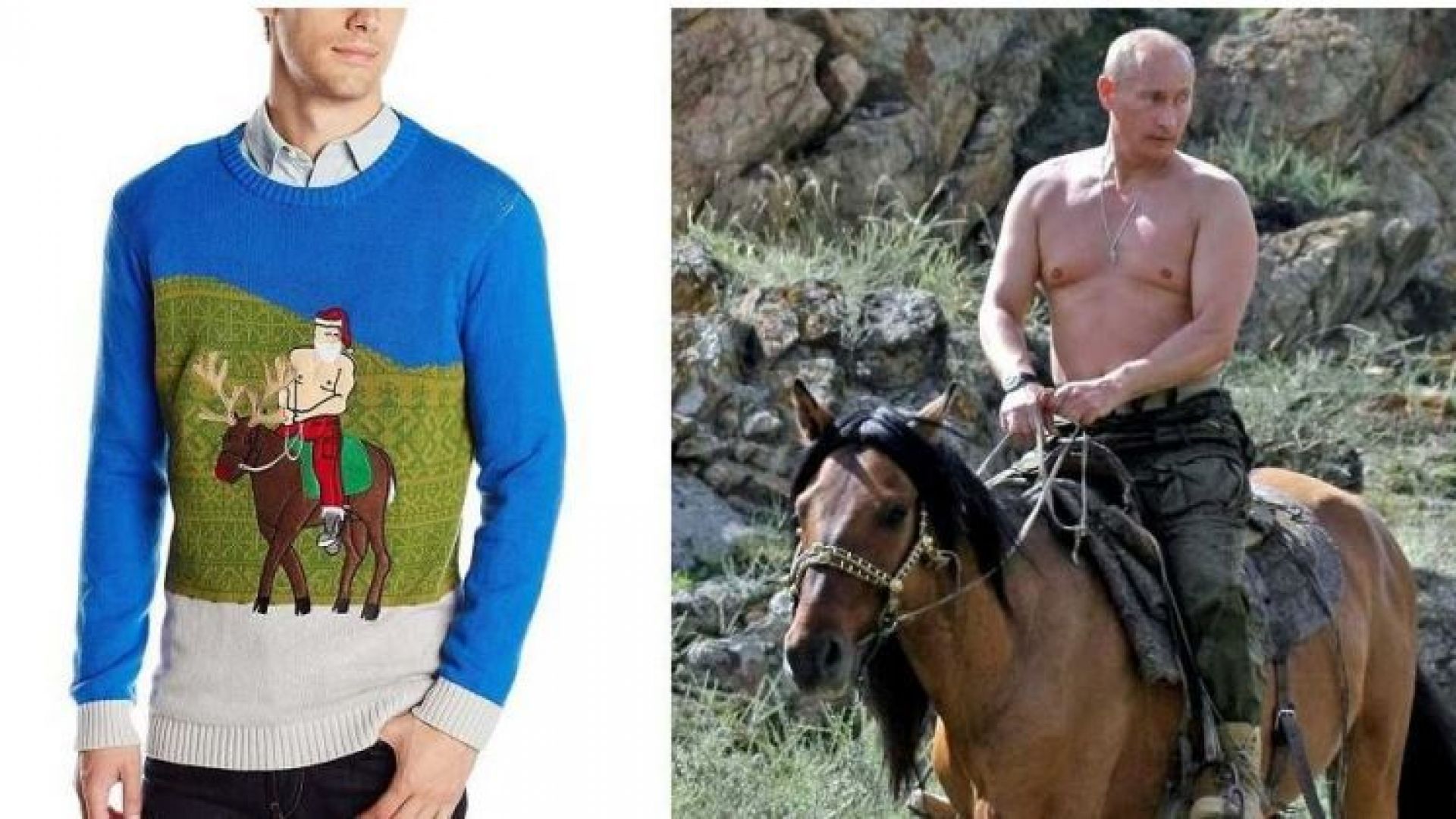 Путин в свитере