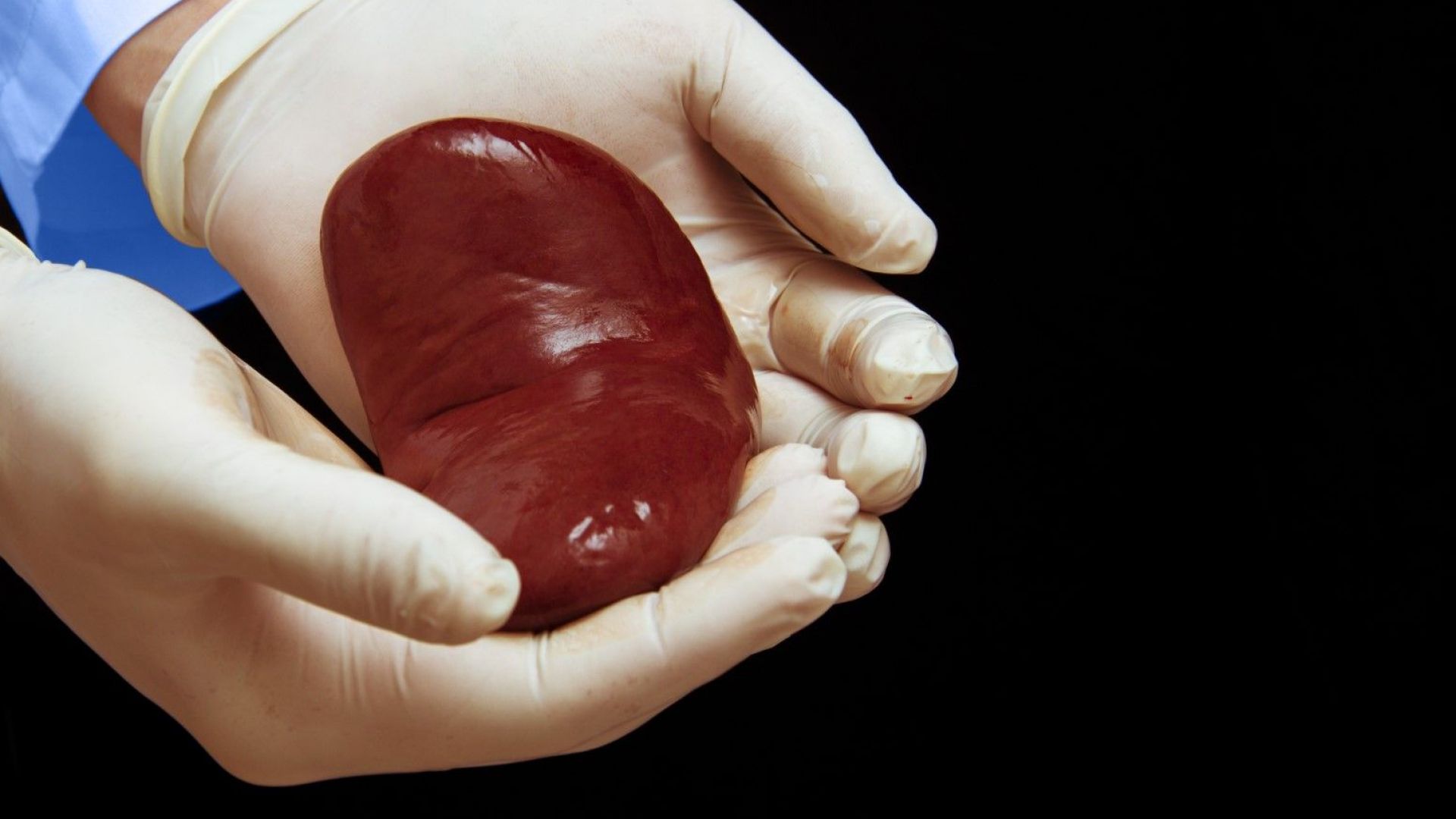 В навечерието на 2019 г възникна нова донорска ситуация този