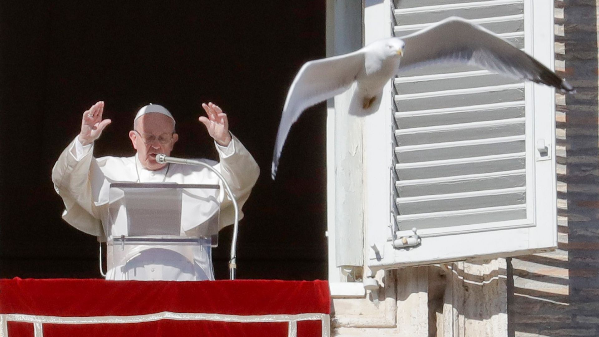 Папата: Политиката не е само за управляващите