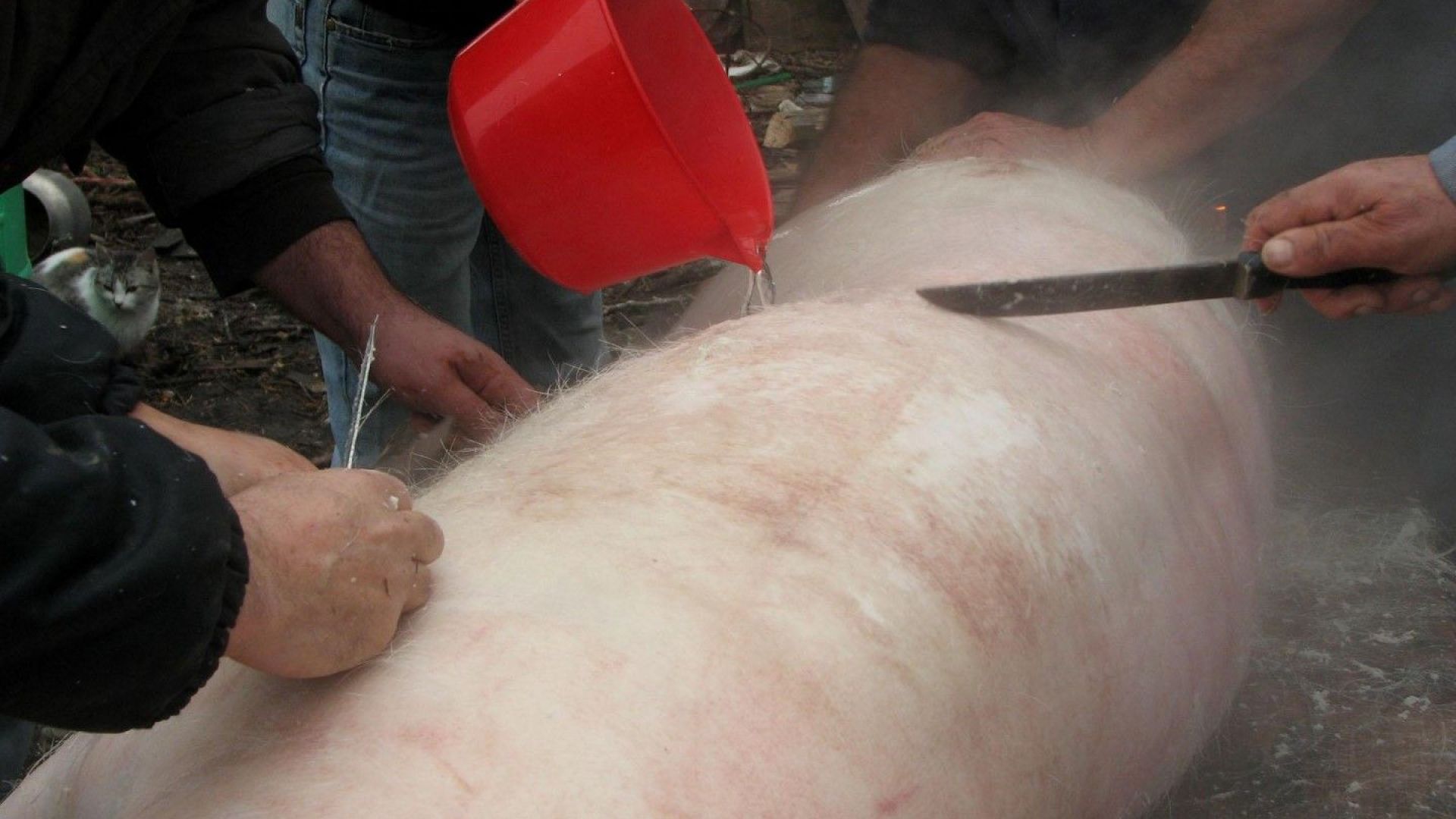 Четирма румънци са заплашени от затвор в Италия след като