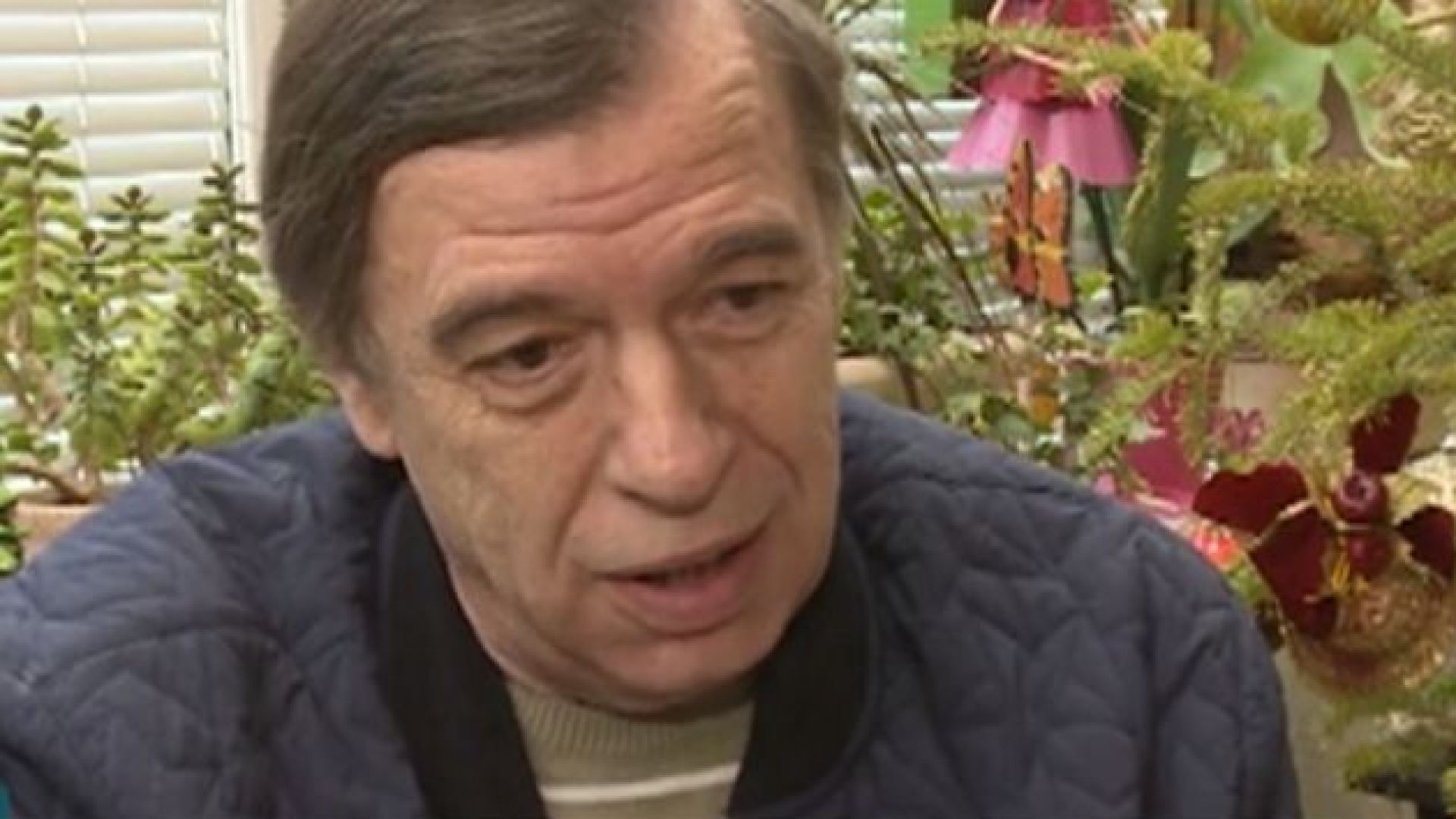 Просто видях картините и пожелах да ги имам защото ги