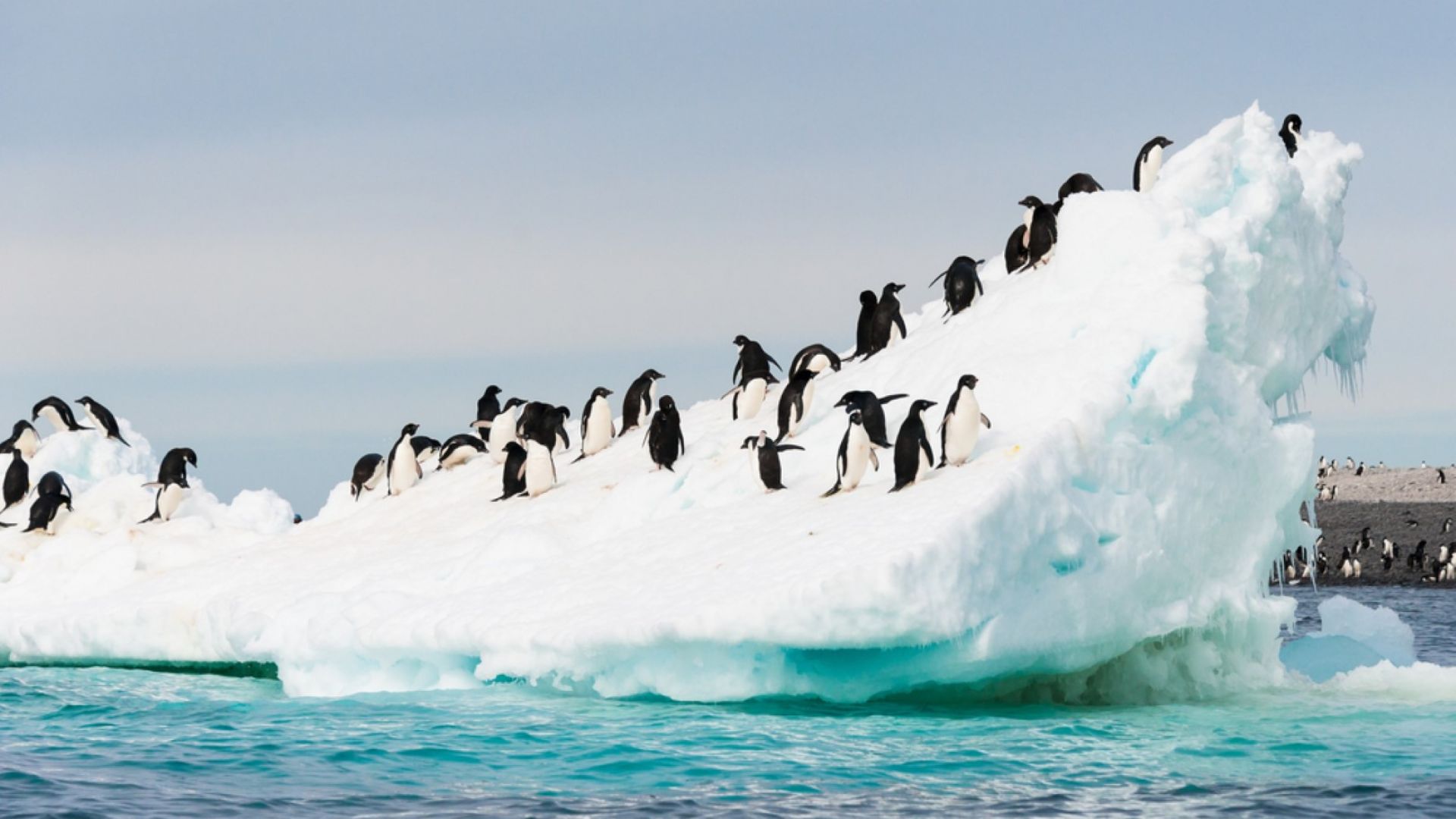 Глобалното затопляне е виновно за топенето на леда в Западна Антарктида