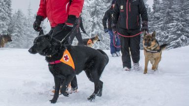 Възрастен мъж оцеля след денонощие на -10° в гората