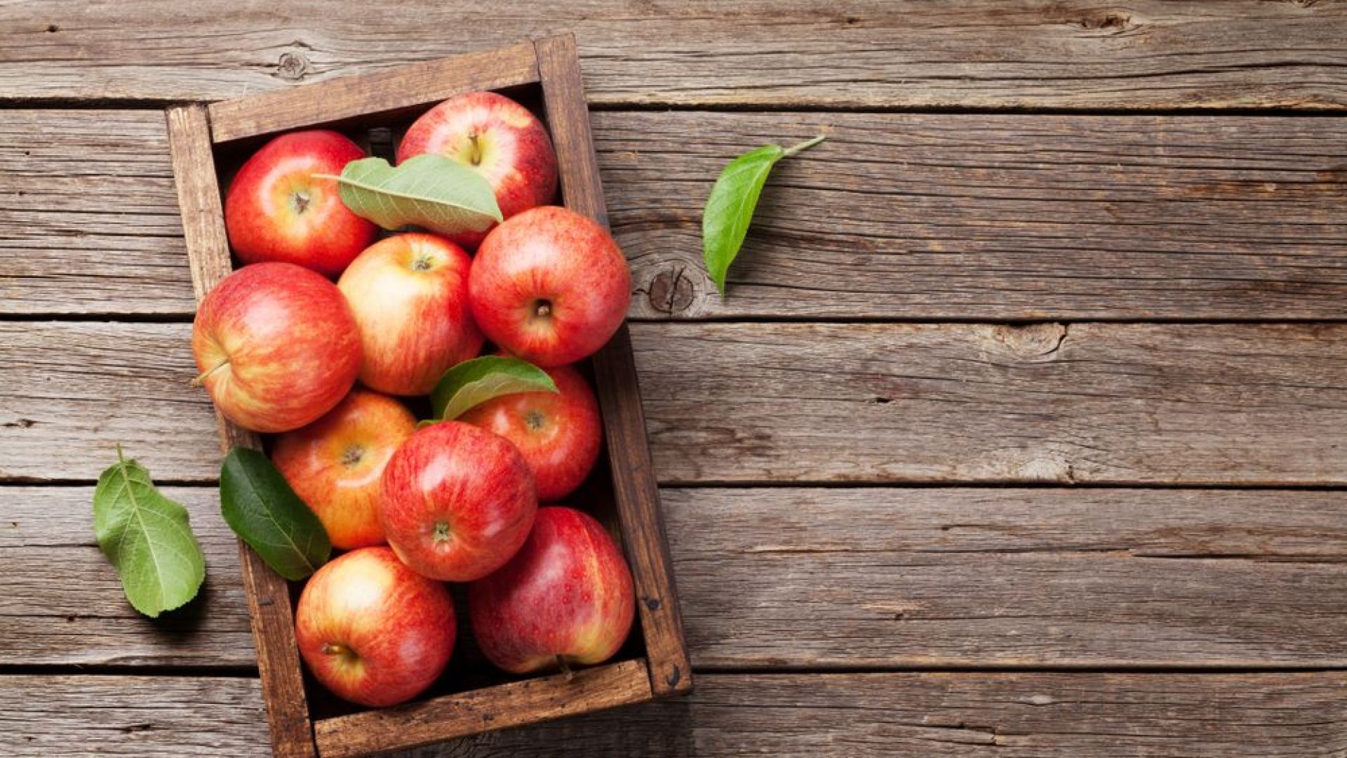 Най скъпата ябълка в света расте в пловдивското село Трилистник Тя