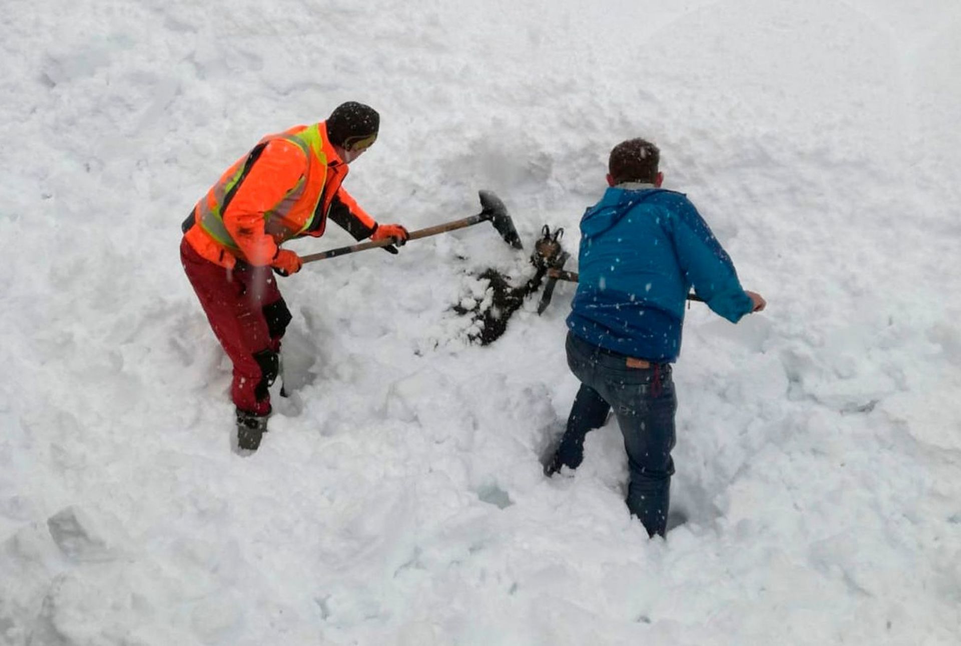 Австрийски служители на железопътния транспорт спасяват дива коза, затрупана в снежната покривка парк в централната част на Австрия