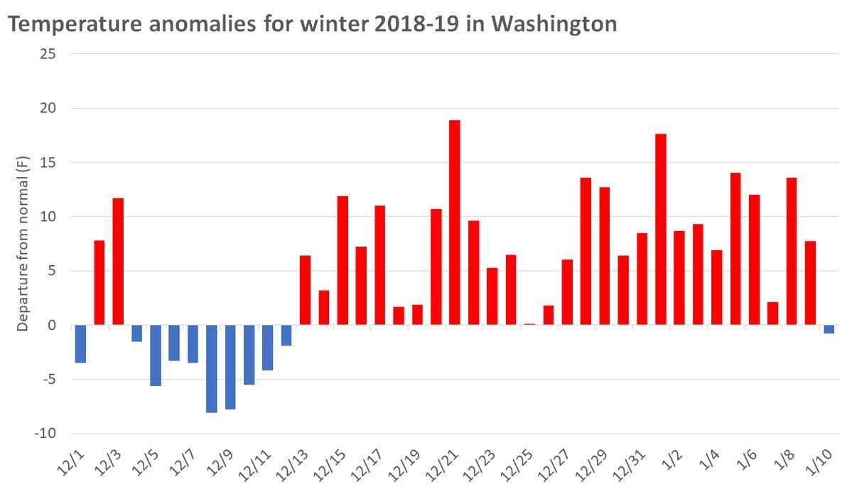 Във Вашингтон едва днес приключва цял месец с подчертано наднормено време с до над 10 градуса по-топло от нормалното
