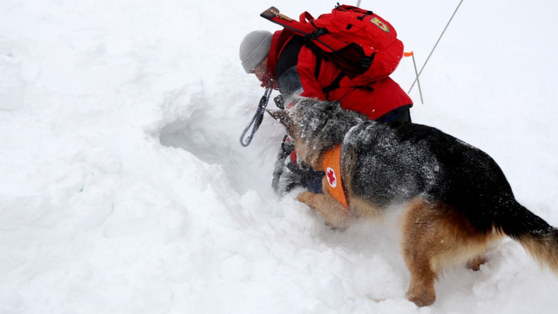 Лавина падна и уби двама сноубордисти в Пирин потвърдиха за