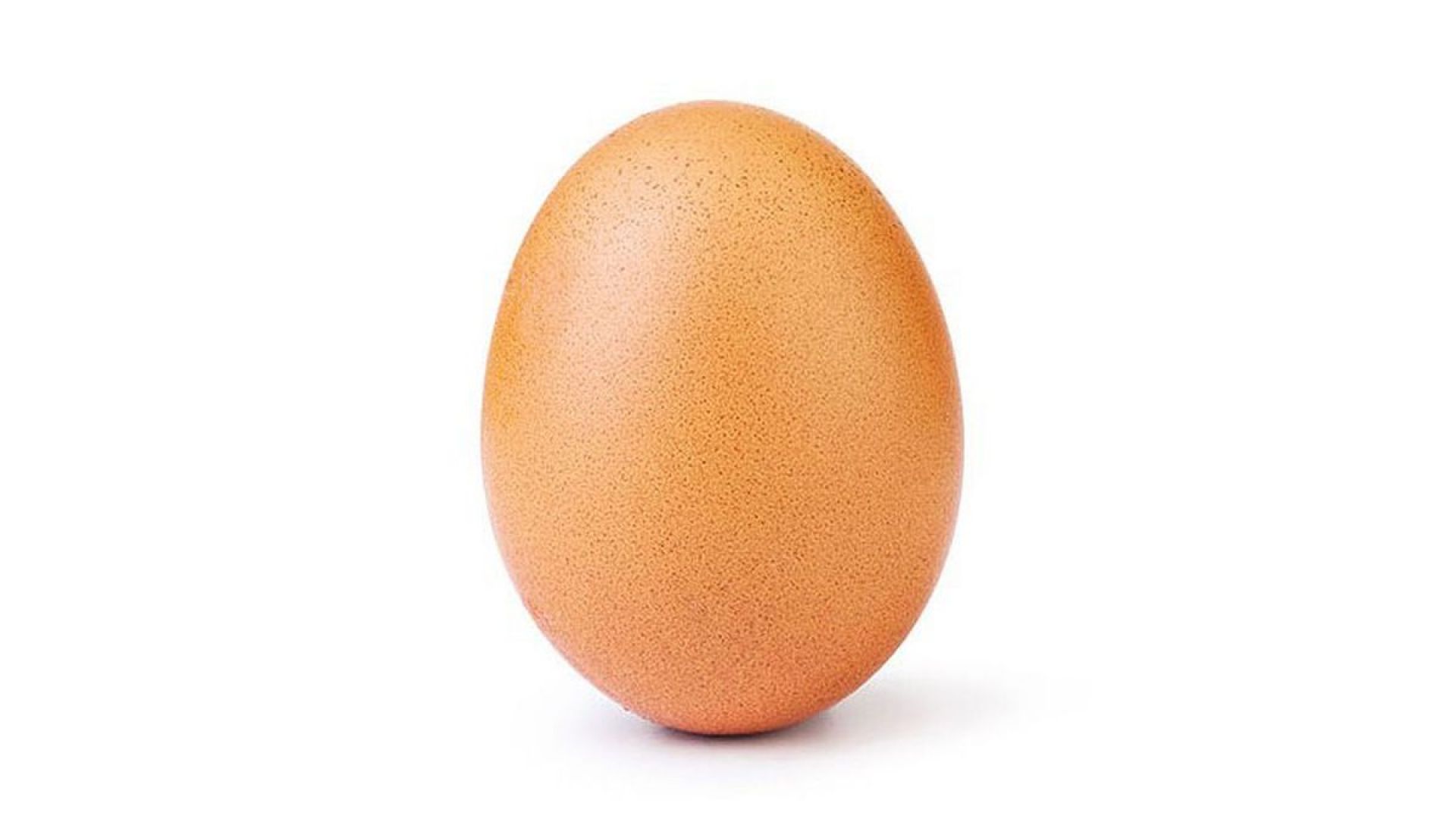 В Instagram "полудяха" по снимка на яйце