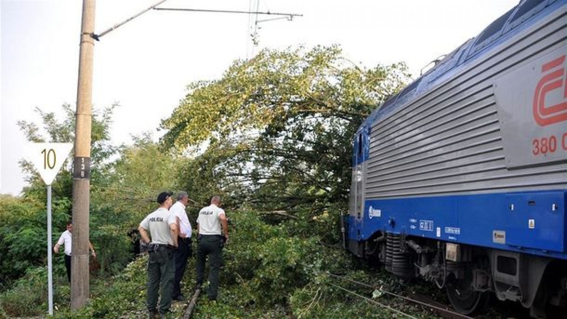Чешки пенсионер повалил дървета върху жп линии и опитал да