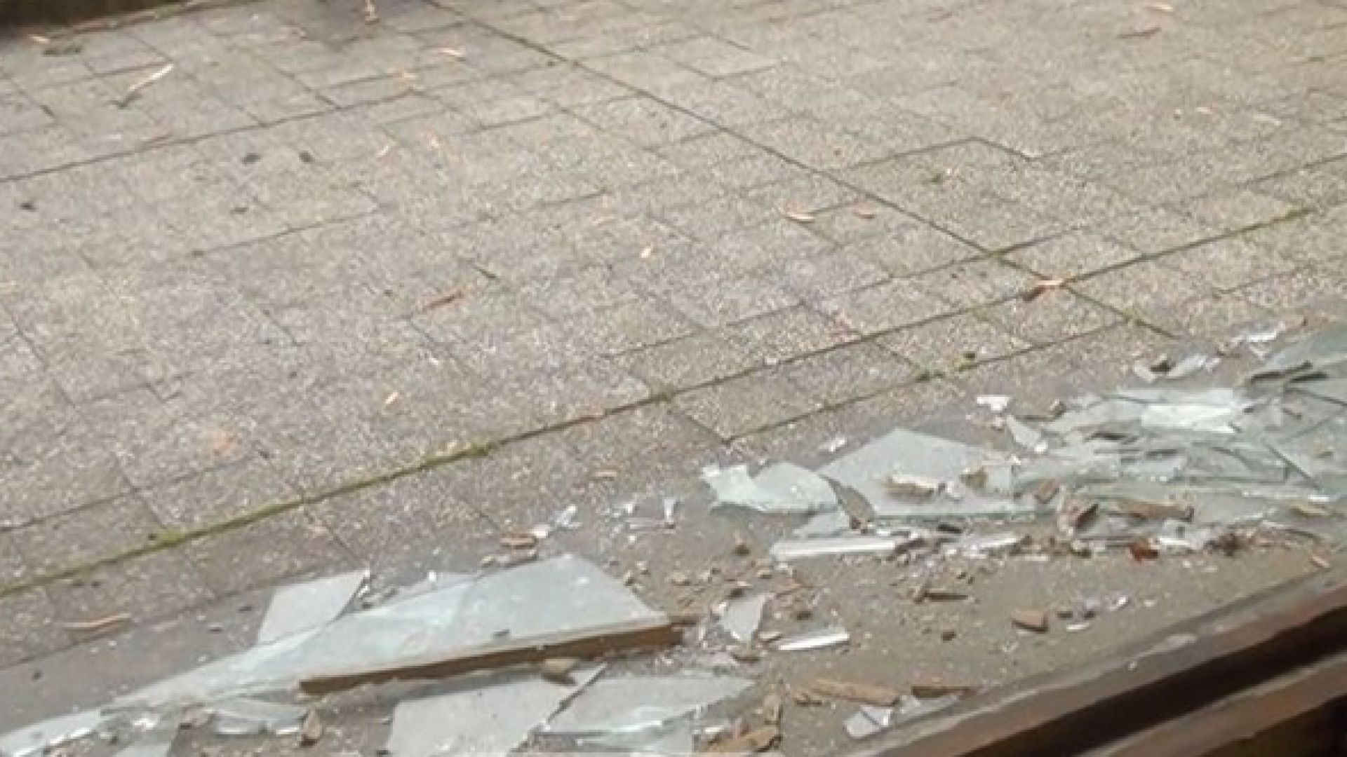 Близо 600 учениците от професионалната гимназия Ген Владимир Заимов в