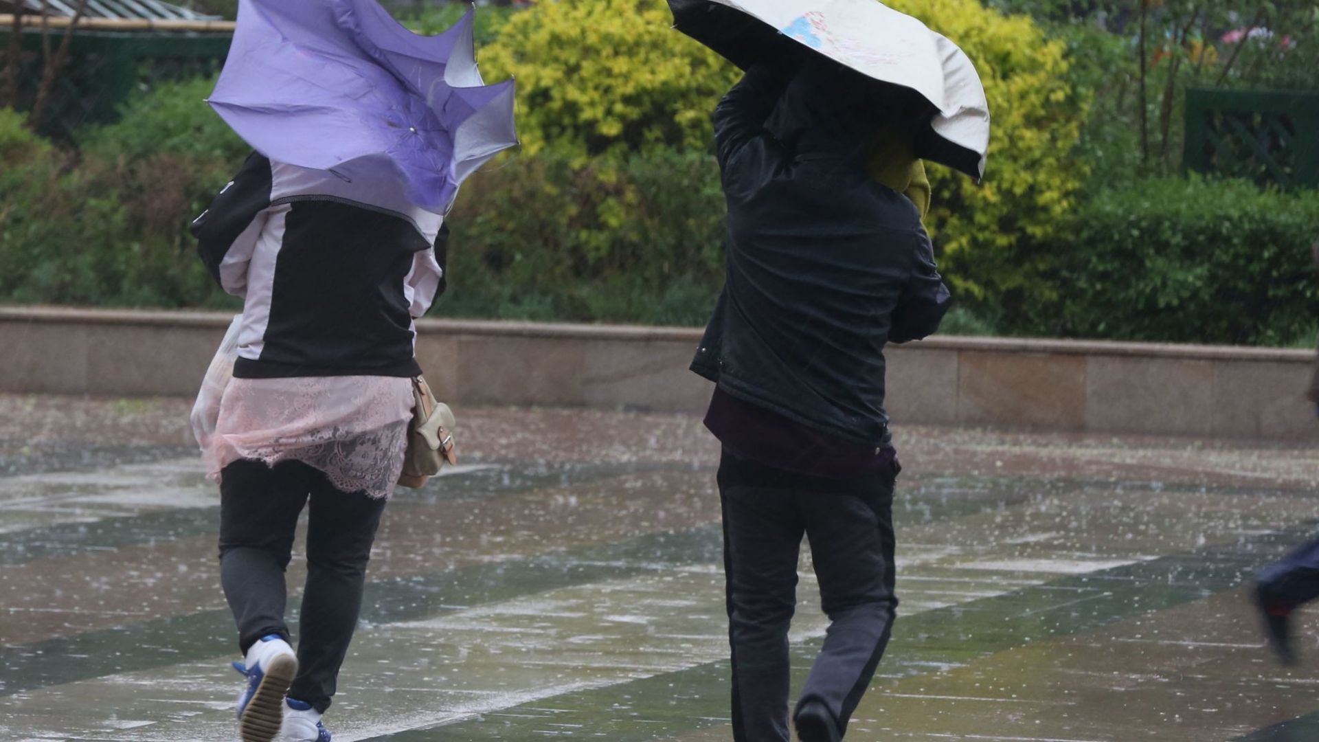 Близо 600 учениците от професионалната гимназия Ген Владимир Заимов в