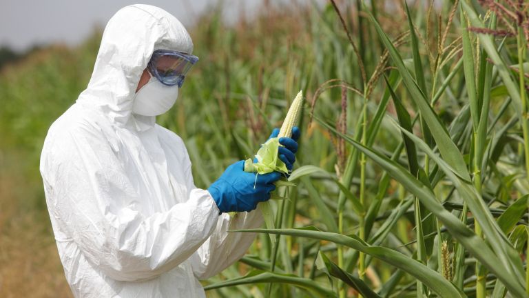 Учени: Противниците на ГМО са невежи