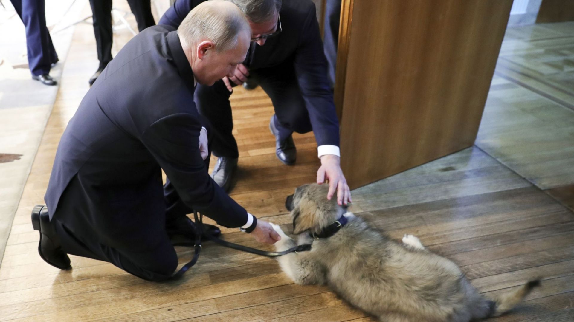 Путин си тръгва от Белград с овчарката Паша (снимки)