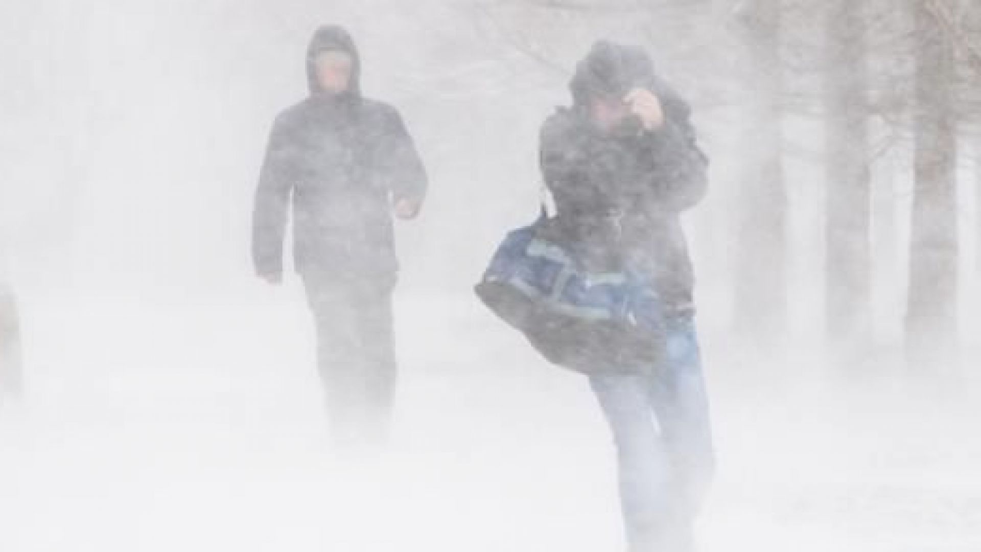 Арктичен въздух от Гренландия носи сняг и силен вятър от вторник