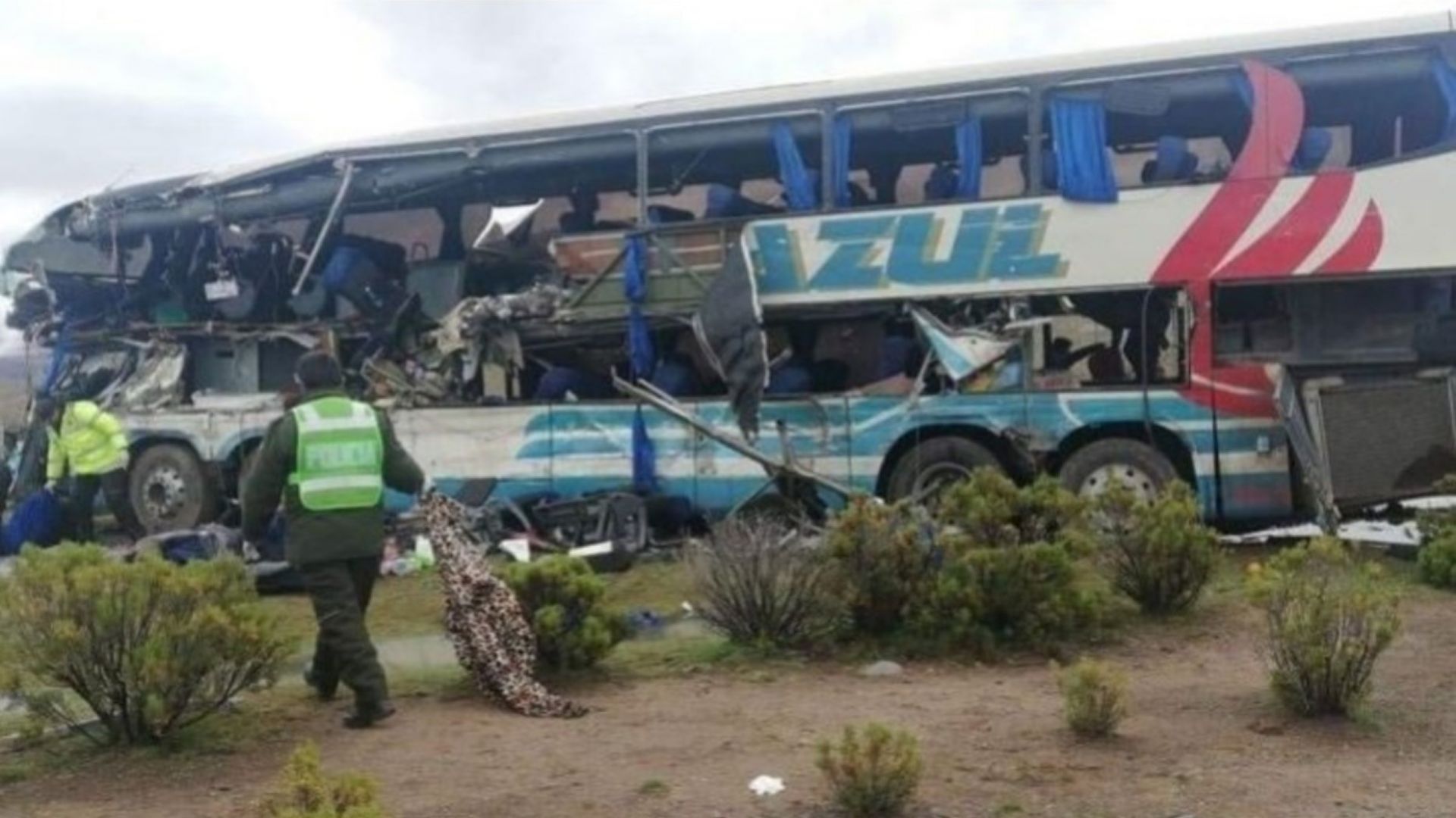 Автобус с аржентински отбор падна в пропаст, поне 13 са загинали