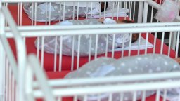 Откриха изоставено новородено на тротоар в Айтос, записаха го Антония Намерена Неизвестна