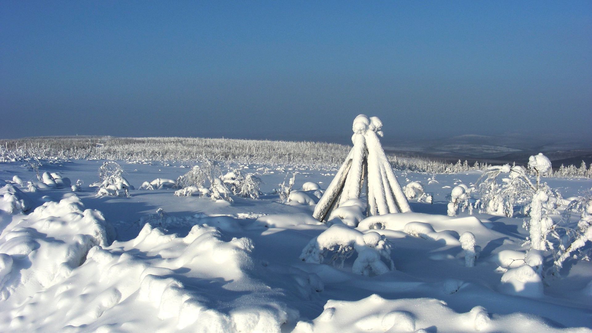 Древните жители на Сибир са оцелели благодарение на топла храна