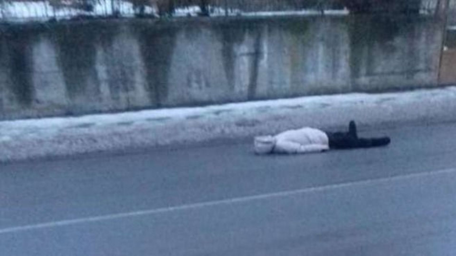 За спешни мерки от страна на институциите настояват жителите на