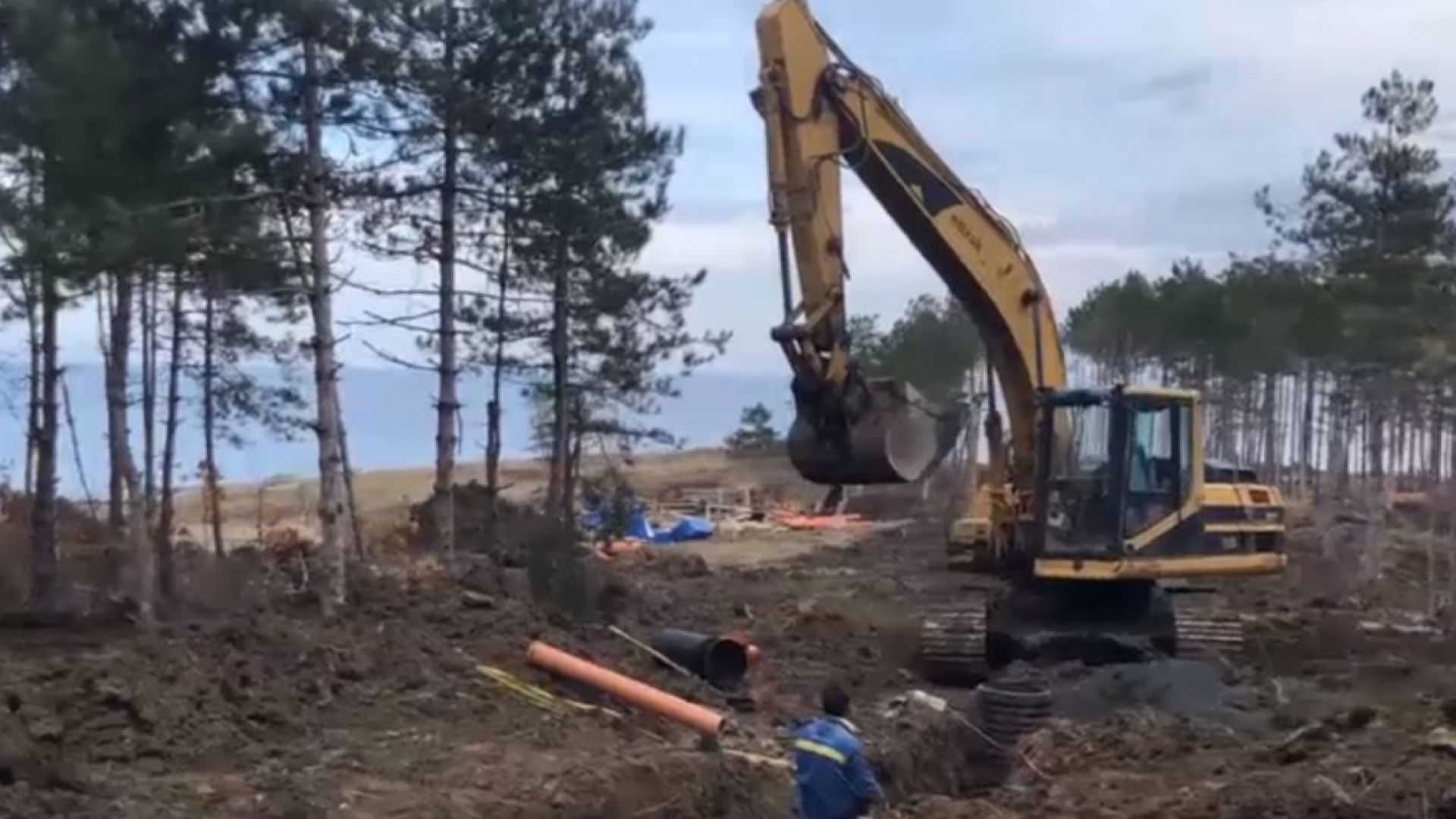 Ако сте слизали на юг по българското Черно море и