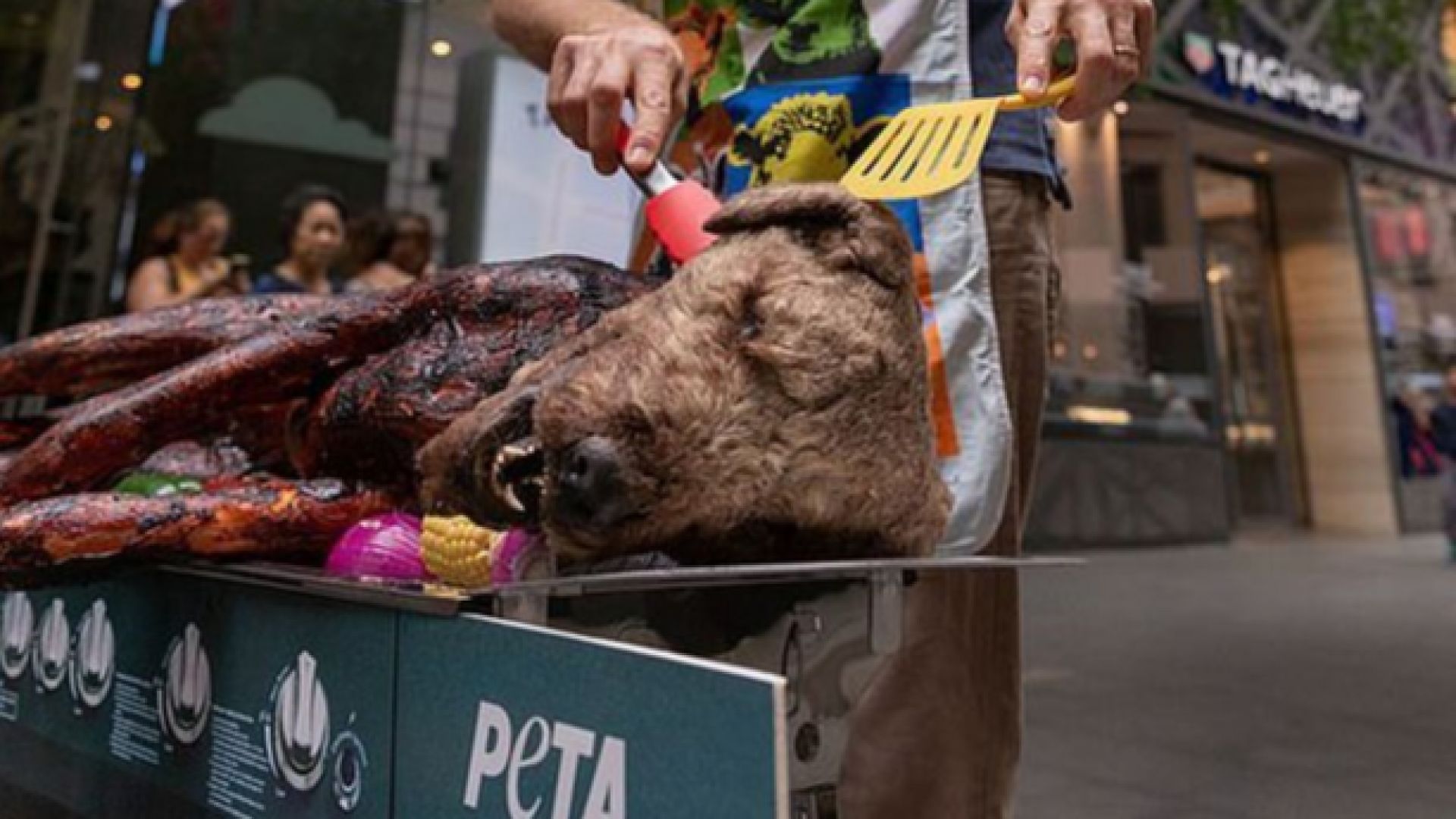 Защитници на животни скандализираха Сидни след като опекоха куче на