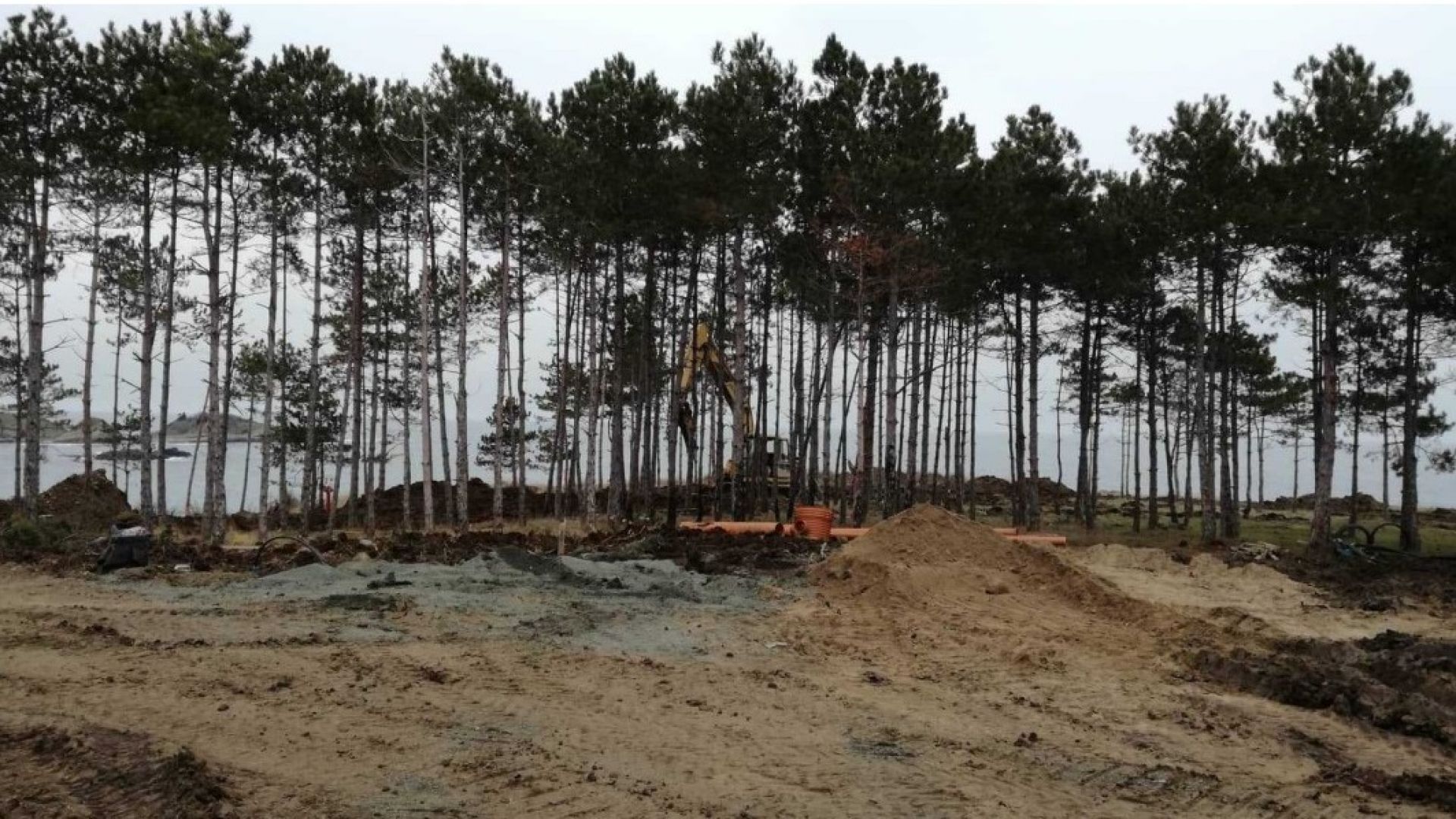 Борова гора се изсича край къмпинг Арапя като на мястото