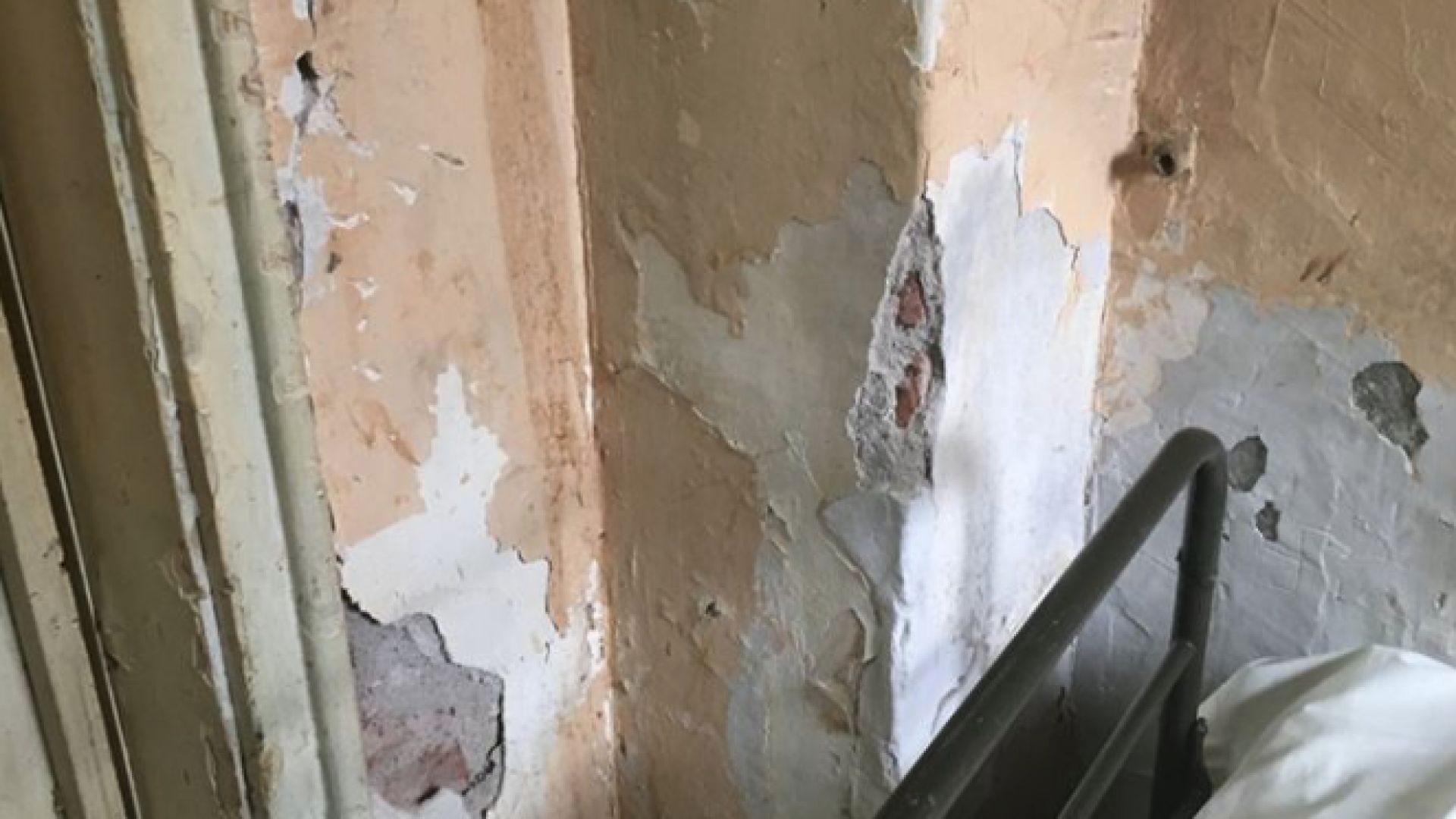 Вълна от възмущение заля социалните мрежи след като българският психиатър