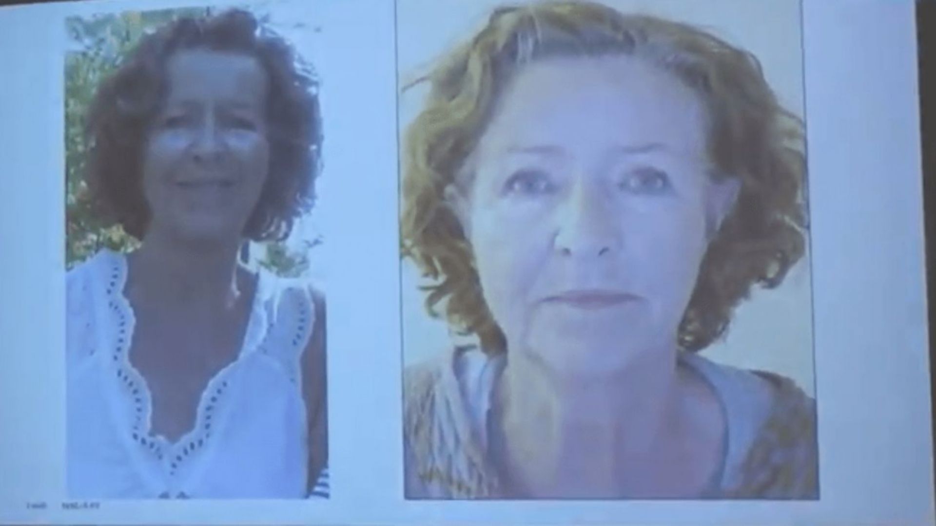 Вероятните похитители на съпругата на един от най богатите бизнесмени в