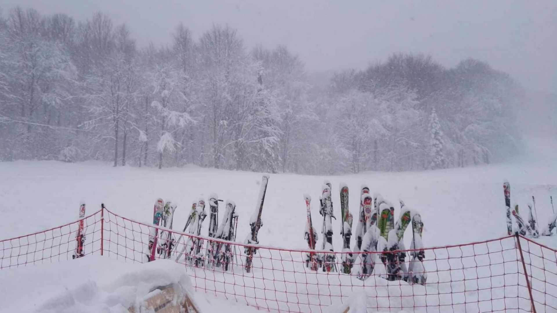 Притеснена майка вдигна полицията в Разлог на крак след като