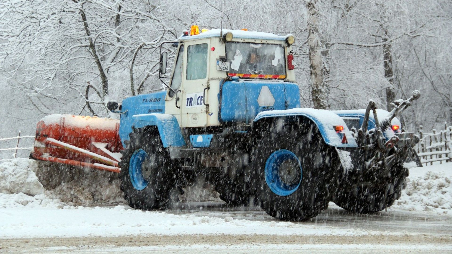 Блокирани коли и автобус на пътя Чепеларе Пампорово заради паднали дървета